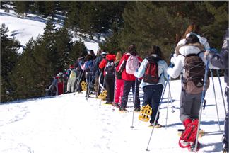 Excursiones Escolares-Excursión con Raquetas de Nieve